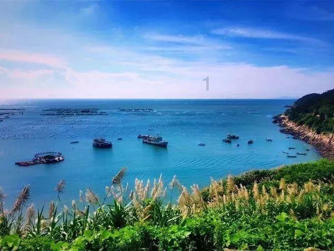 救援小绿龙